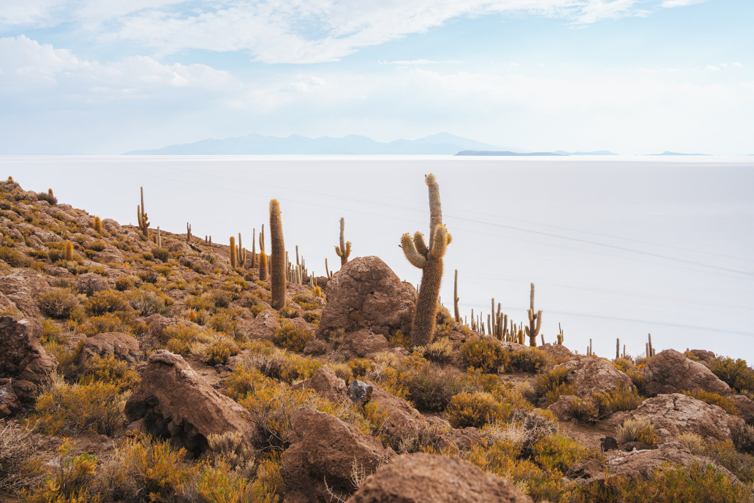 Incahuasi island on Salar de Uyuni salt flats, Bolivia